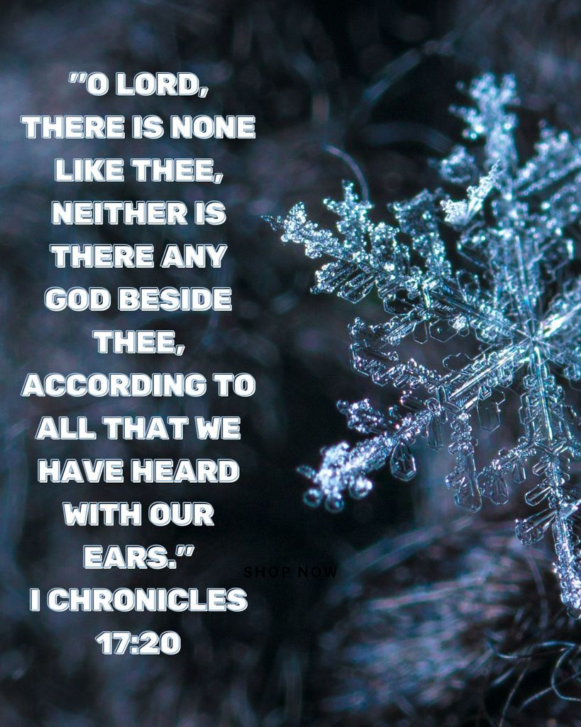 "O Lord, there is none like thee, neither is there any God beside thee, according to all that we have heard with our ears." I Chronicles 17:20