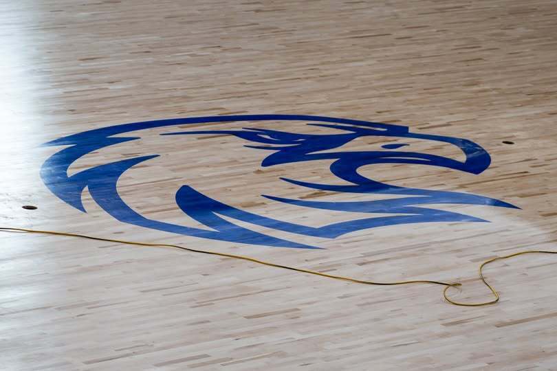 logo of a blue eagle on wood floor