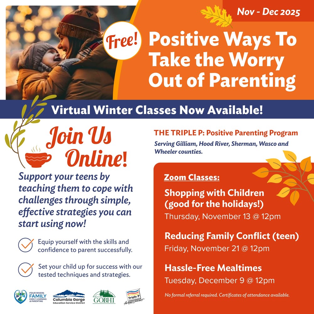 Triple P Parenting Program