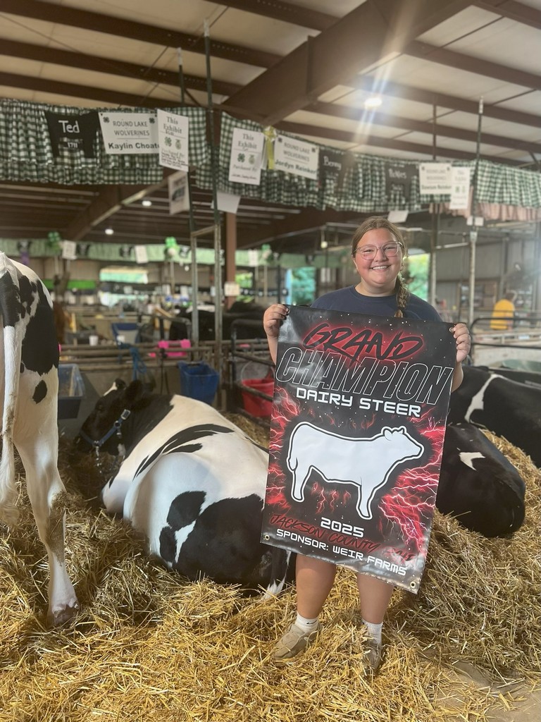 Kaylin Coate with her 4-H steer