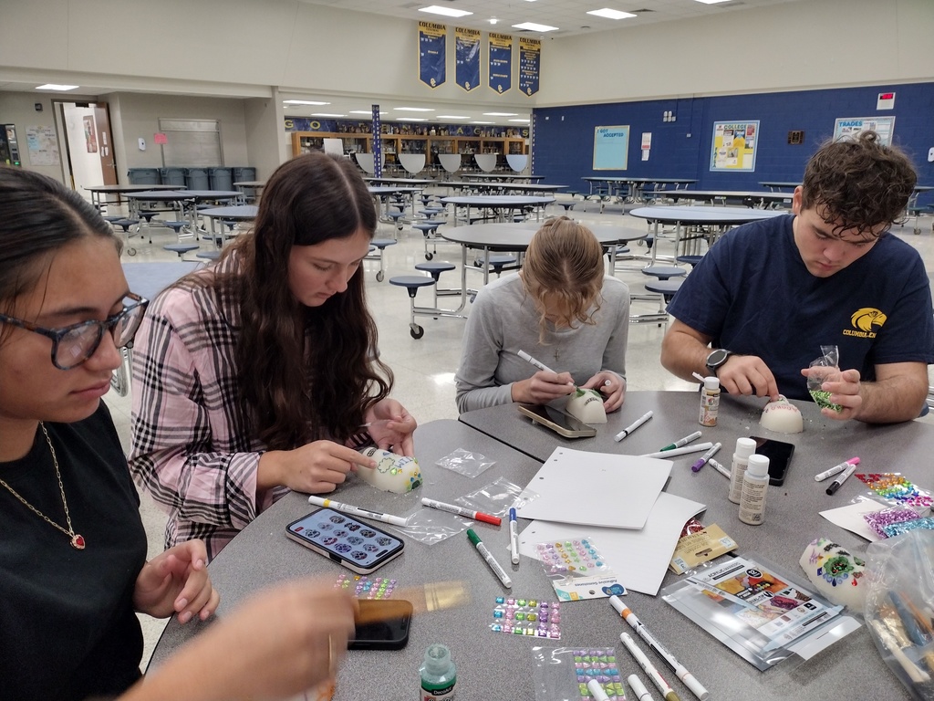 Spanish 4 and 5 project 