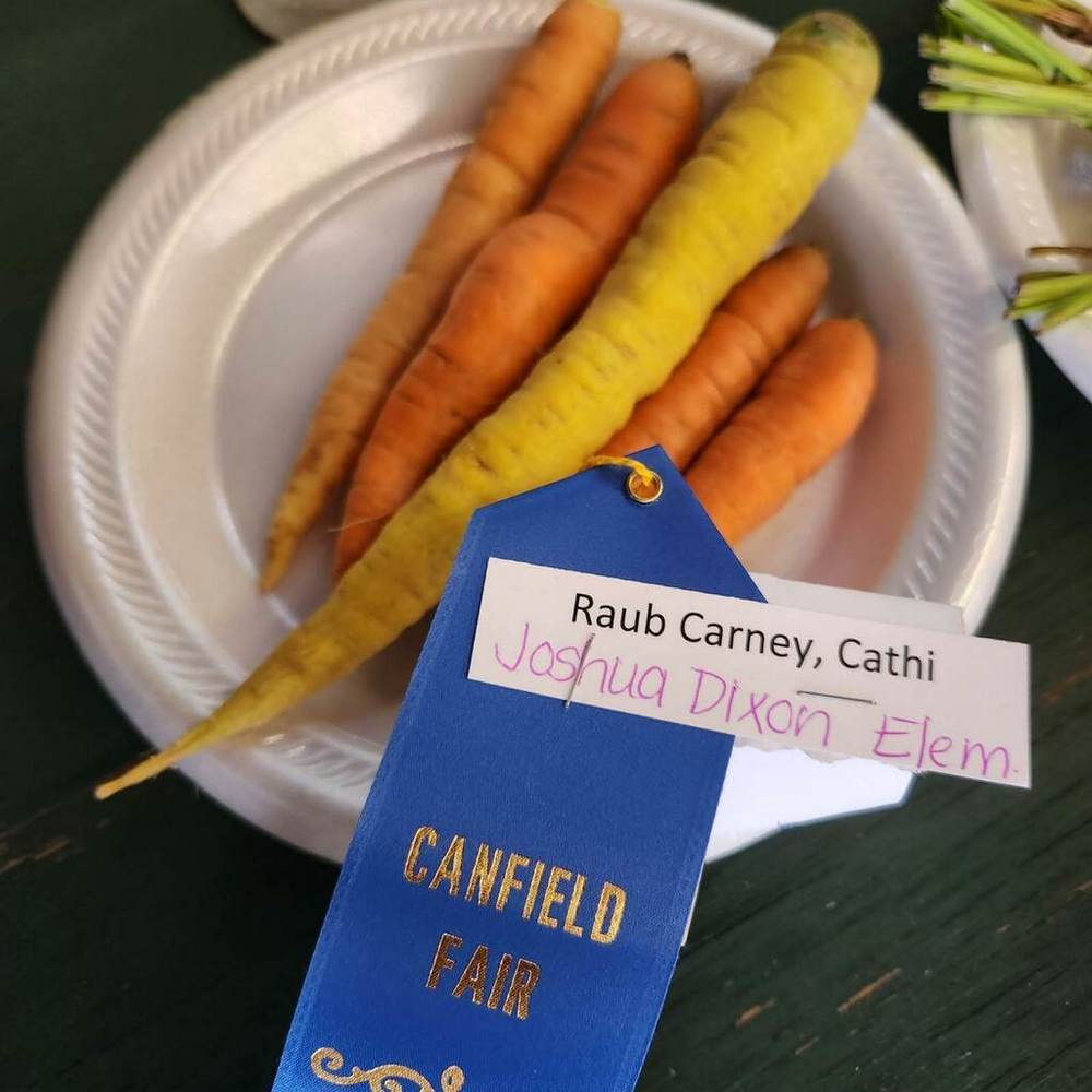 carrots