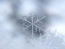 Snow Flake