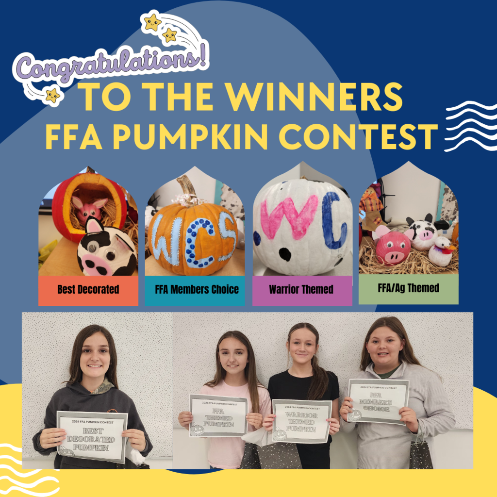 pumpkin winners