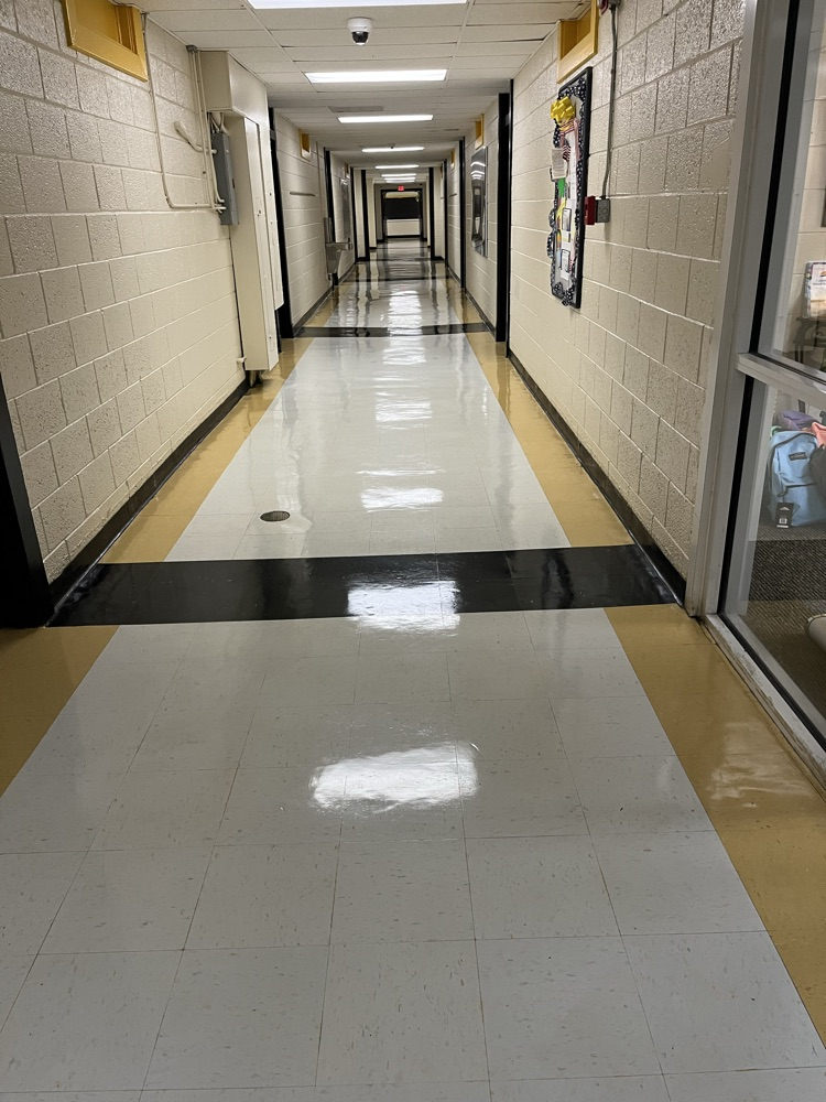 NMS Floors