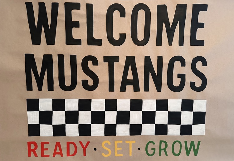 Mustang Roundup Review 1