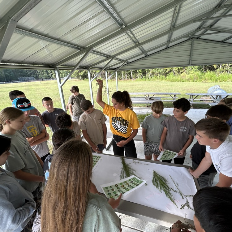 Plant irrigation and weed recognition