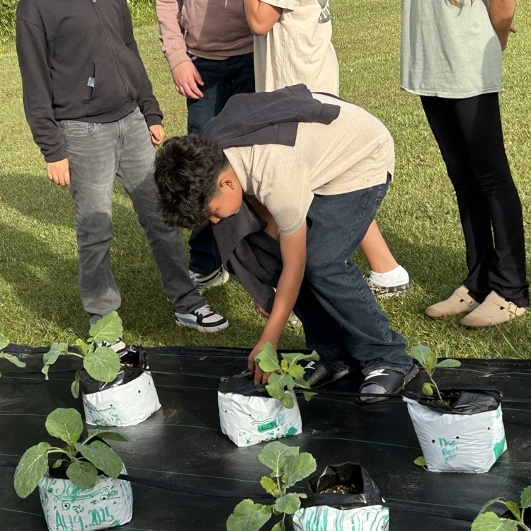Plant irrigation and weed recognition