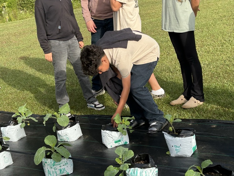 plant irrigation and weed recognition 