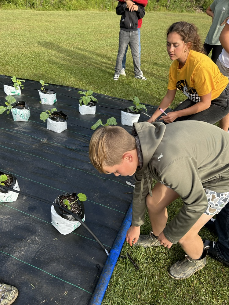 plant irrigation and weed recognition 