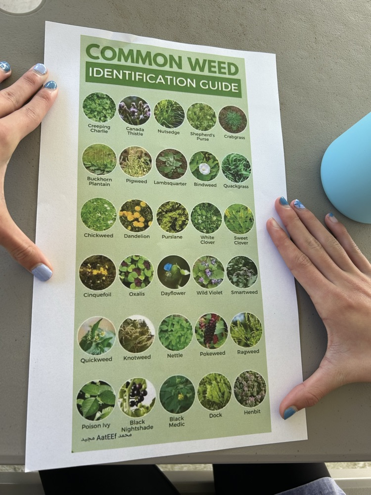 plant irrigation and weed recognition 
