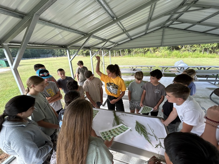 plant irrigation and weed recognition 