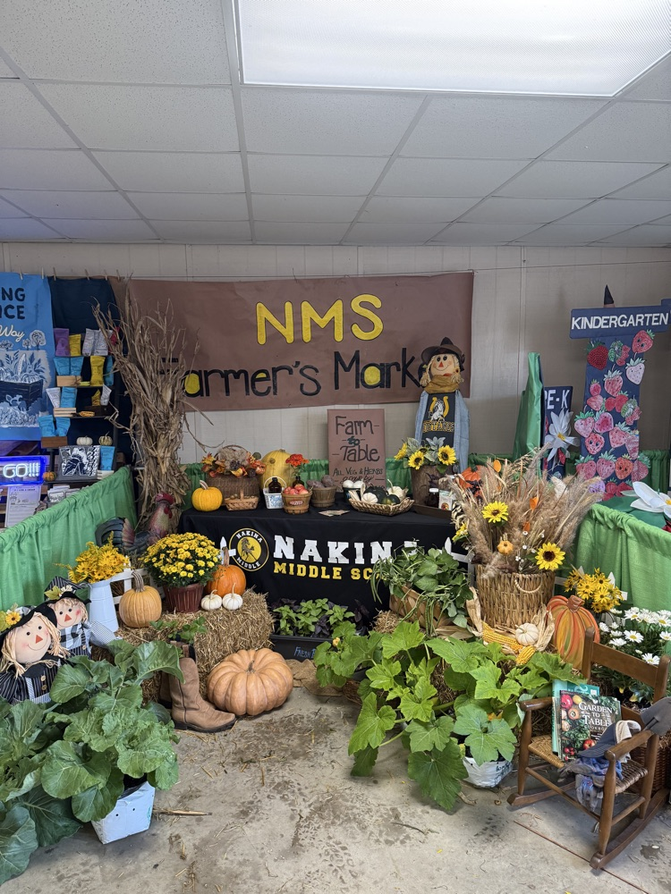 NMS Fair Booth 
