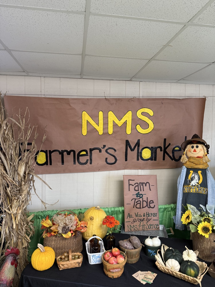 NMS Fair Booth 