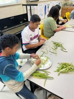 “The Original Snap Chat”