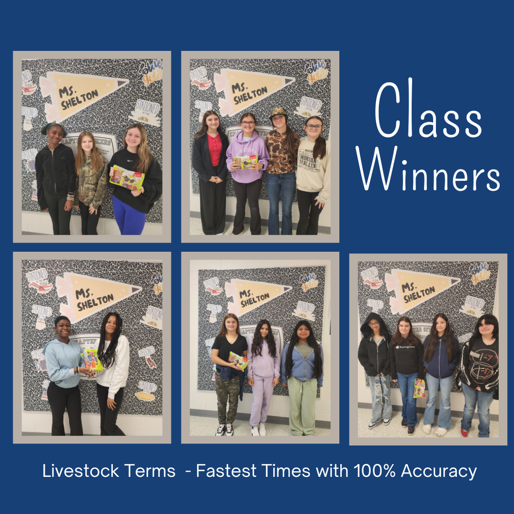 Livestock Terms Class Winners