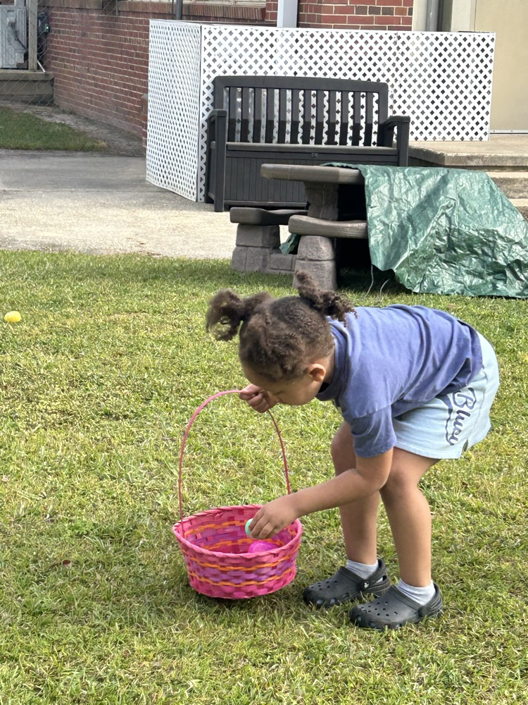 egg hunt 