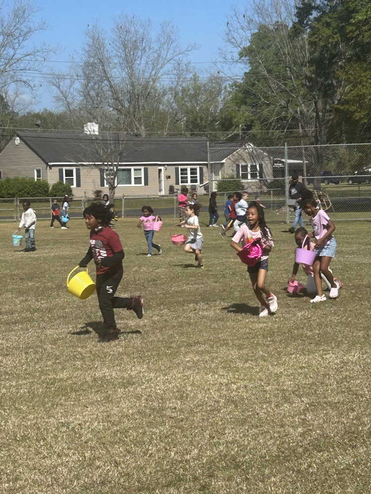egg hunt 