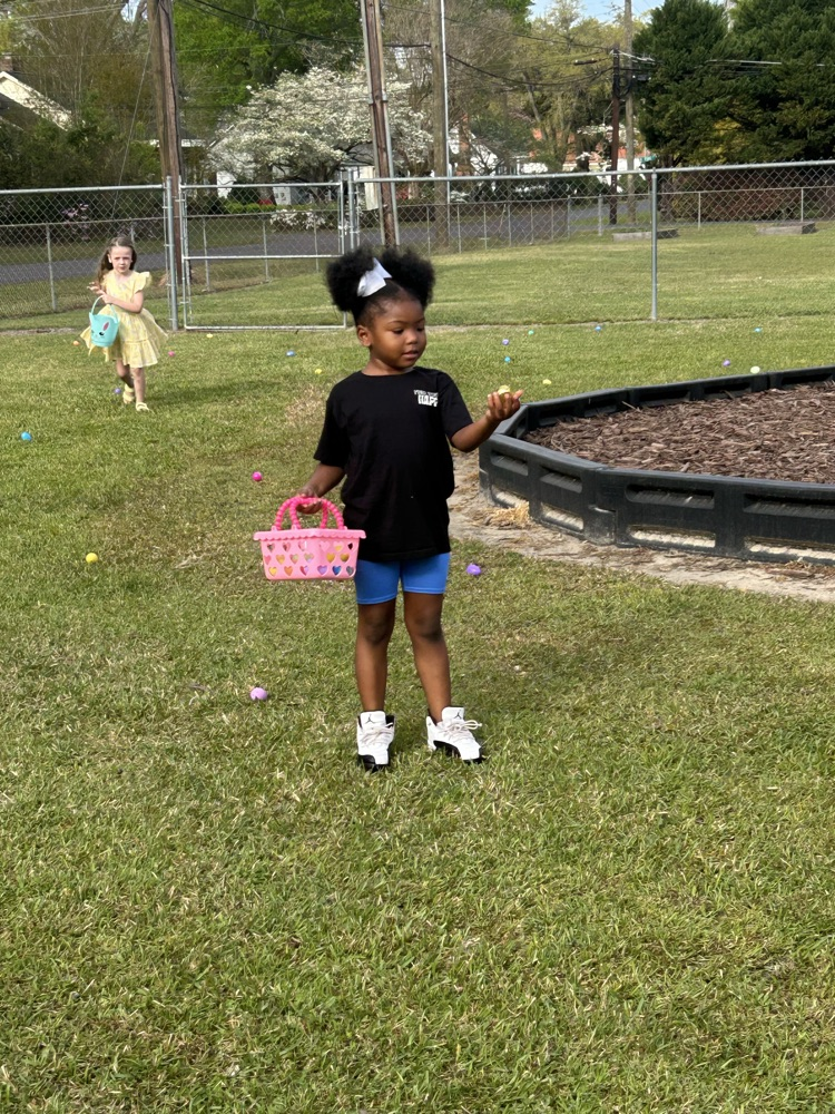 egg hunt 
