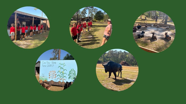 stump hill farm