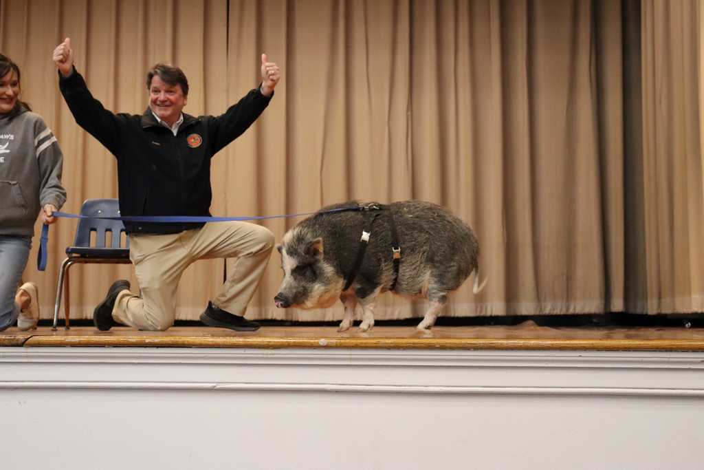 Kiss the Pig