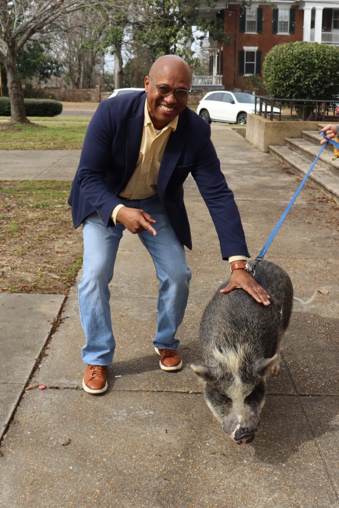 Pig with Ellis 