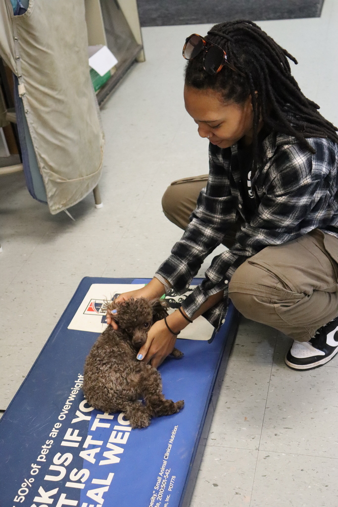 VET Pics