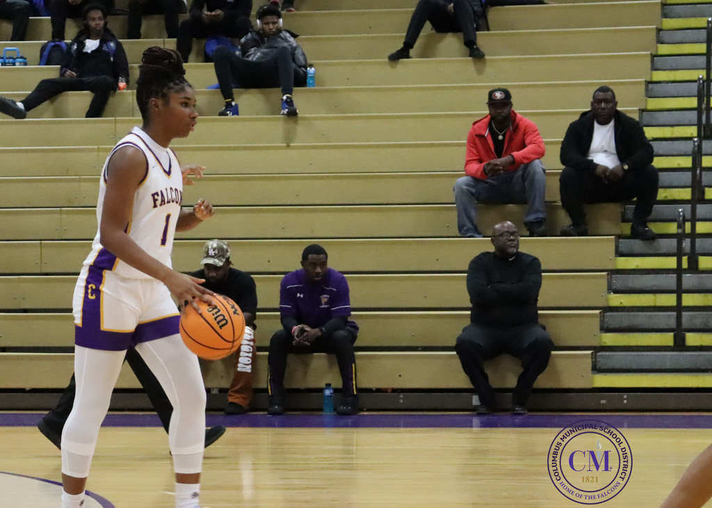 Lady Falcons vs Meridian