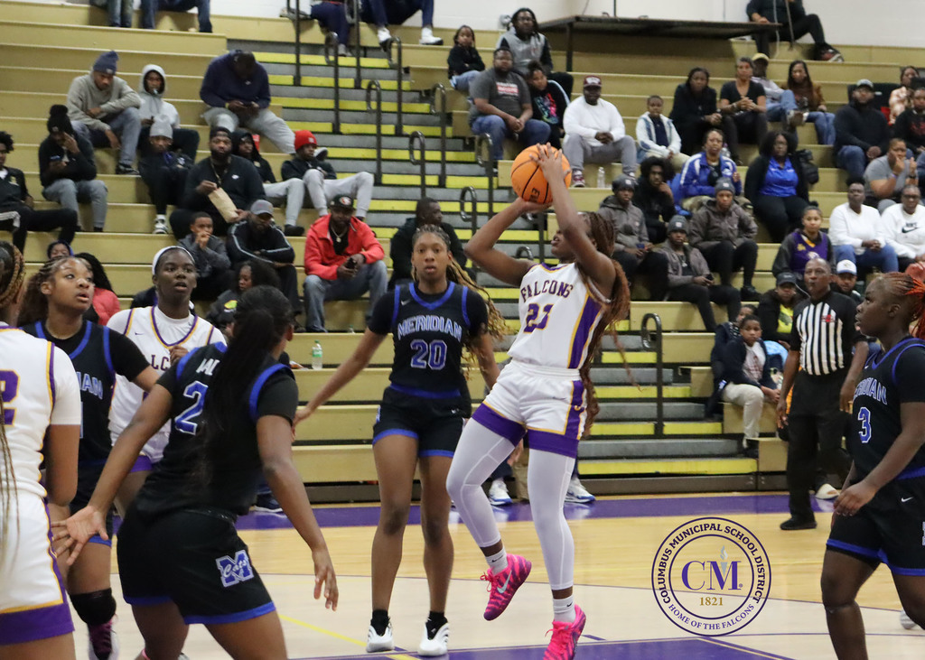Lady Falcons vs Meridian