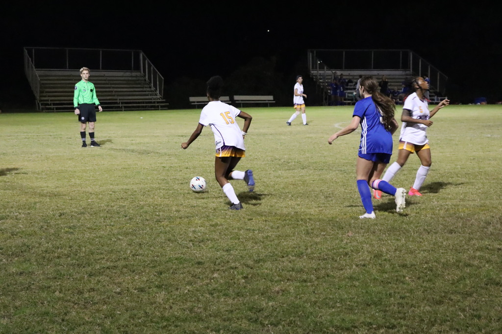 Lady Falcons vs MSMS