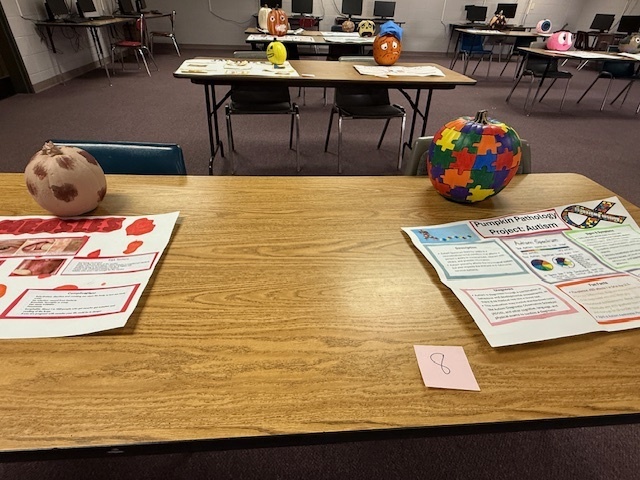 McKellar students decorated pumpkins to represent a medical condition. 