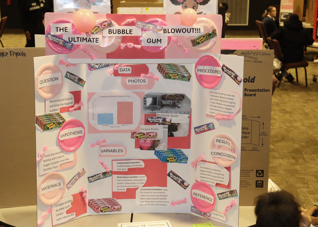 CMS Science Fair project.