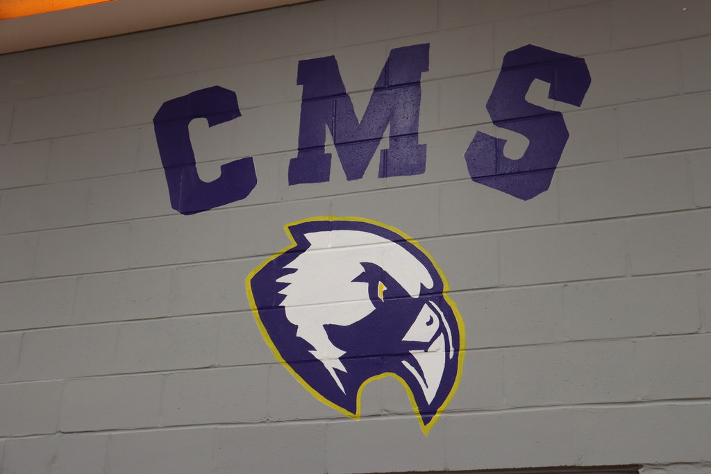 CMS Falcon logo
