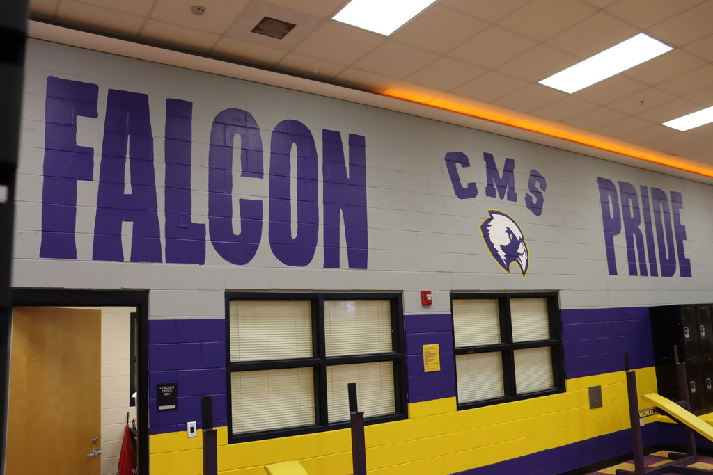 Falcon pride wall