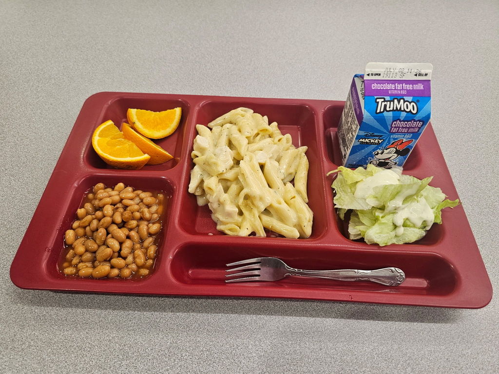 food tray showing oranges, baked beans, pasta, salad and milk