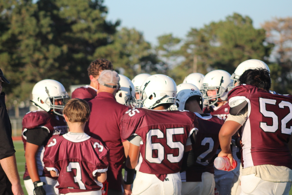 Coach and players