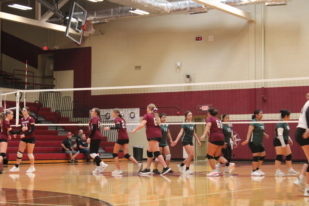 Volleyball