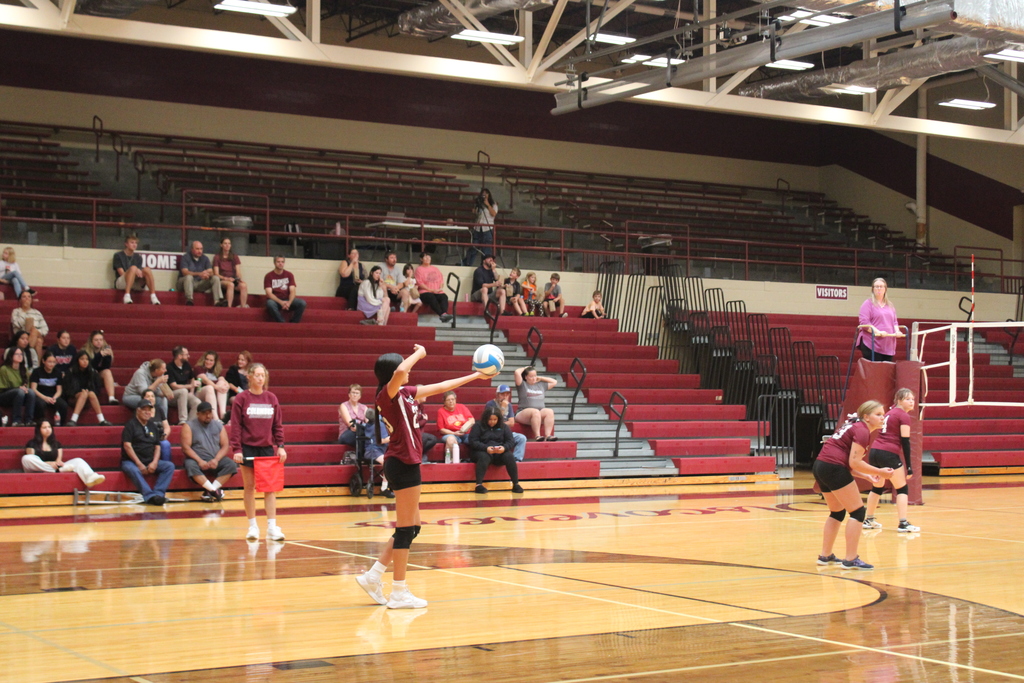 Volleyball