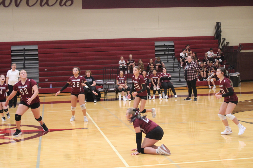Volleyball