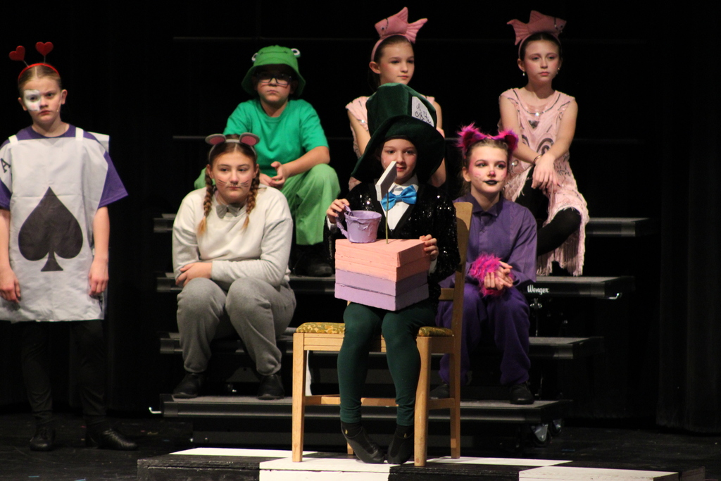 The Mad hatter on the witness stand