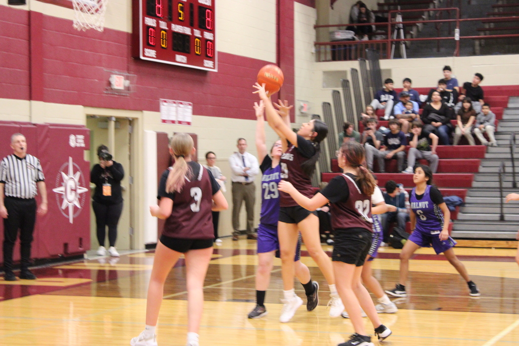 Ana grabbing basketball