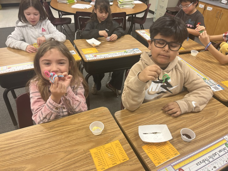 Pollination! We made pipe cleaner butterflies and “flew” from flower to flower observing how the pollen got from flower (cornmeal pollen) to flower (coffee pollen).