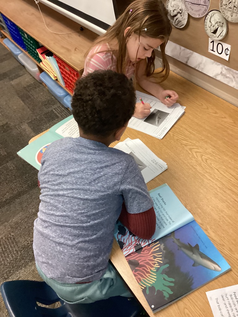 students work in small groups writing reports on animals