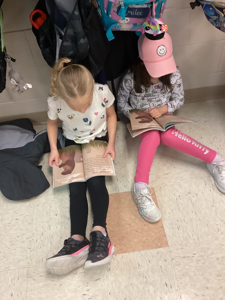 students work in small groups writing reports on animals