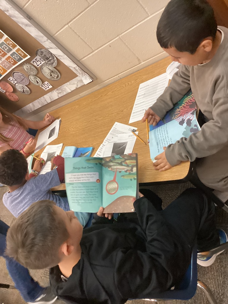 students work in small groups writing reports on animals