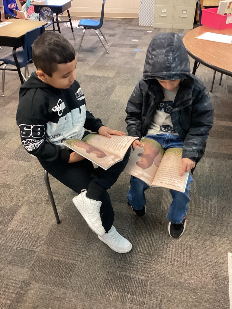 students work in small groups writing reports on animals