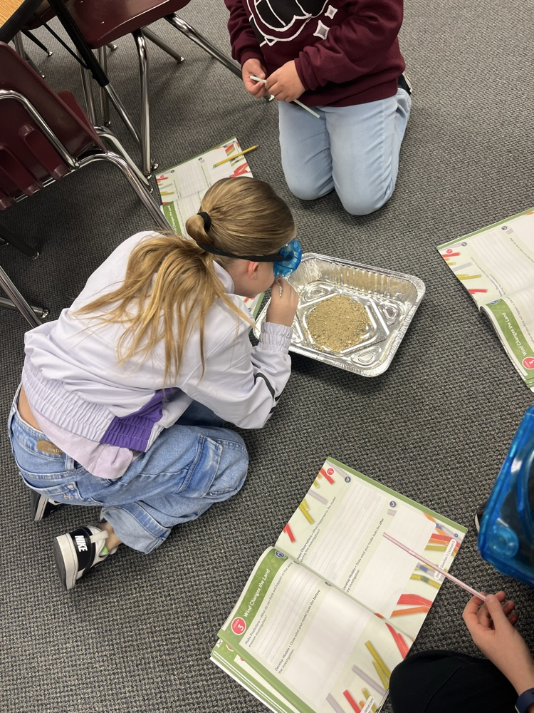 Working together by making observations  