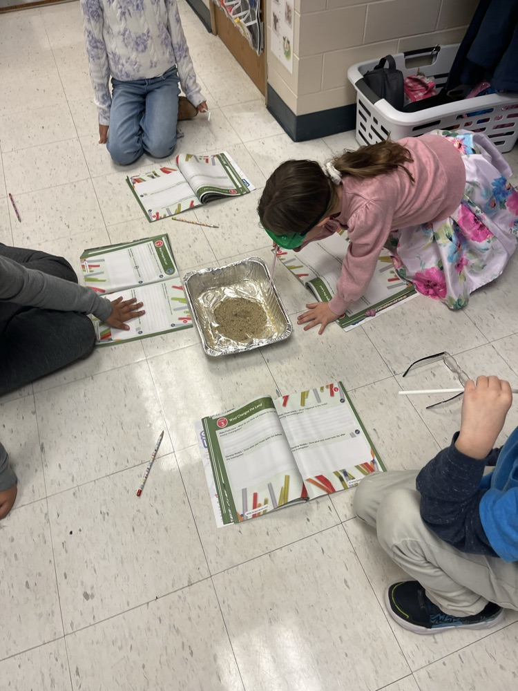 Making observations to record and discuss  