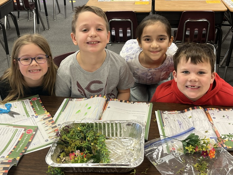 This group planted vegetation. The roots will help hold the sand in place  