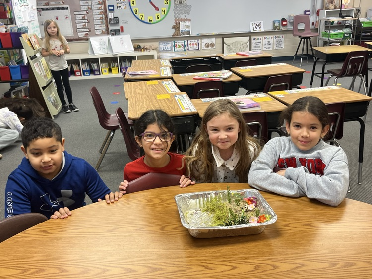 This group also planted vegetation  